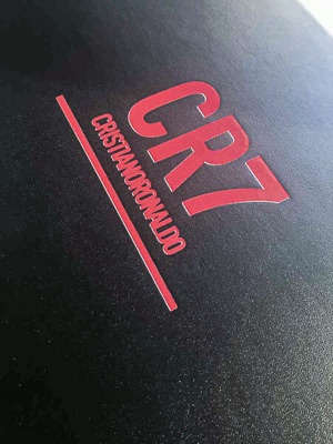 Foil stamp cover leather book printing