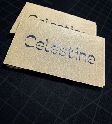 Raised ink thermography kraft paper business card